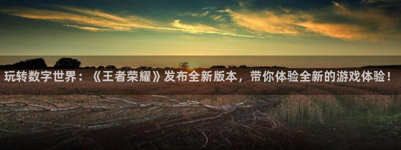 赢咖娱乐app下载地址：玩转数字世界：《王者荣耀》发布全新版