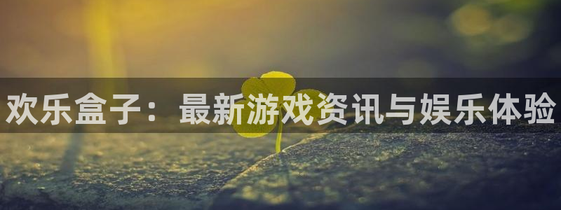 赢咖娱乐测速：欢乐盒子：最新游戏资讯与娱乐体验