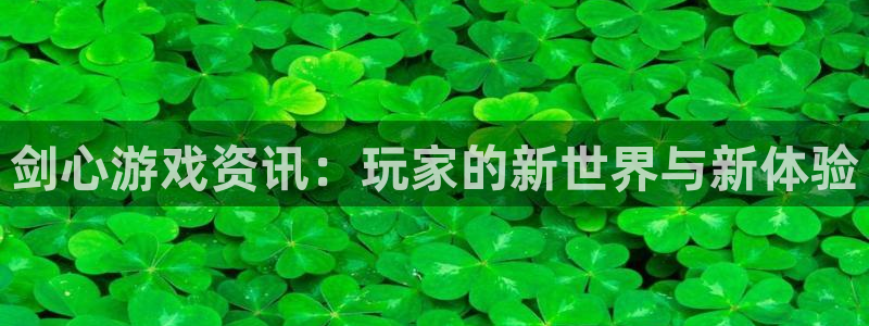 赢咖娱乐官方平台：剑心游戏资讯：玩家的新世界与新体验