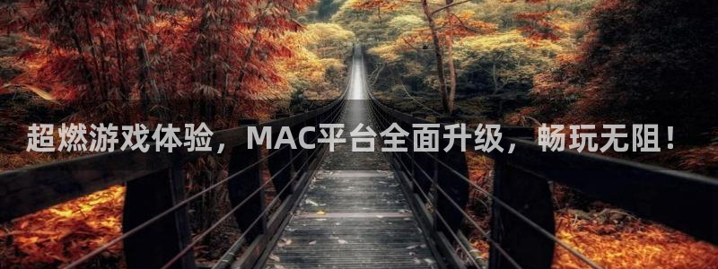 赢咖娱乐平台：超燃游戏体验，MAC平台全面升级，畅玩无阻！