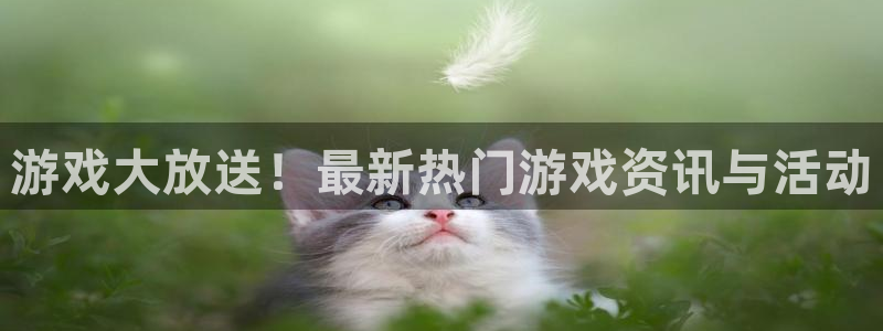 赢咖娱乐注册地址：游戏大放送！最新热门游戏资讯与活动