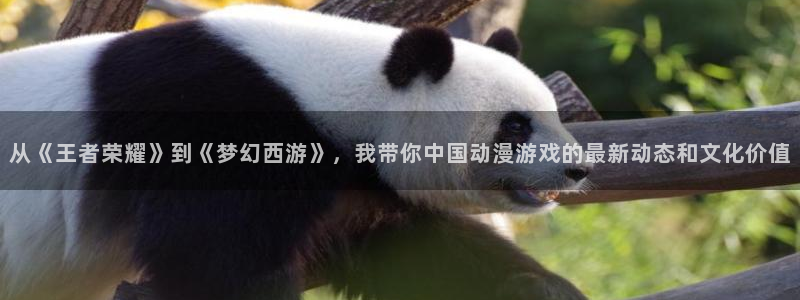 赢咖娱乐是什么：从《王者荣耀》到《梦幻西游》，我带你中国动漫