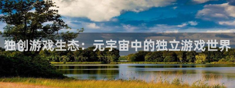 赢咖娱乐官方注册登录：独创游戏生态：元宇宙中的独立游戏世界