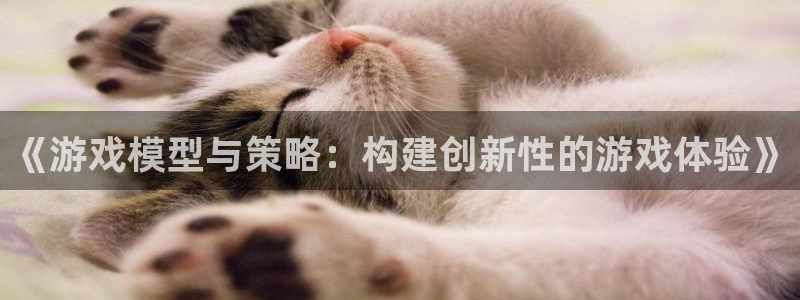 赢咖娱乐是什么：《游戏模型与策略：构建创新性的游戏体验》