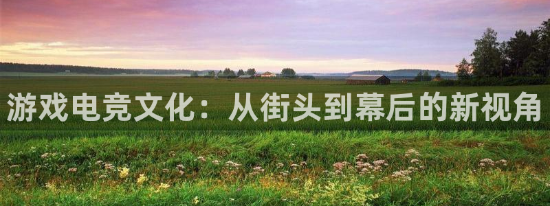 赢咖娱乐娱乐是真的吗：游戏电竞文化：从街头到幕后的新视角