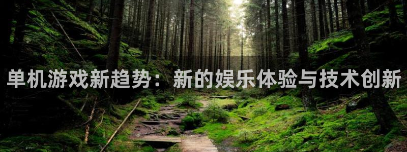 赢咖娱乐注册网站：单机游戏新趋势：新的娱乐体验与技术创新