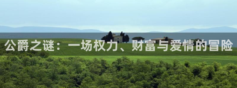 赢咖娱乐网页登录入口：公爵之谜：一场权力、财富与爱情的冒险